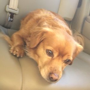 Meet your Posher, Ksay